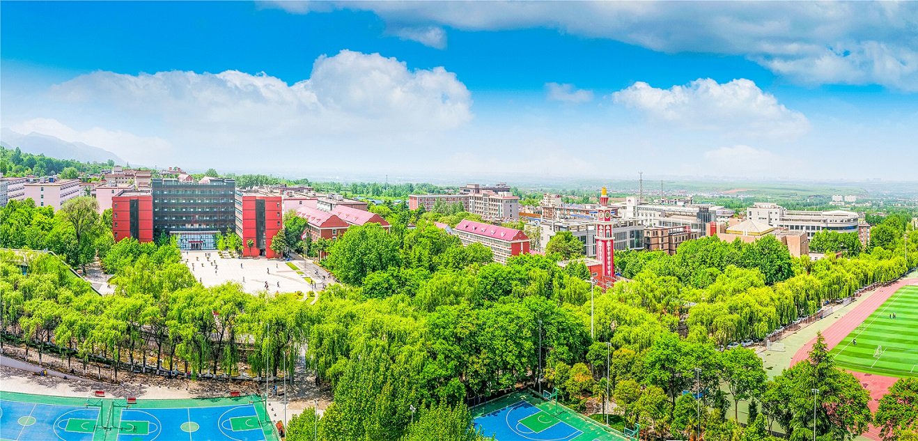 教师登录